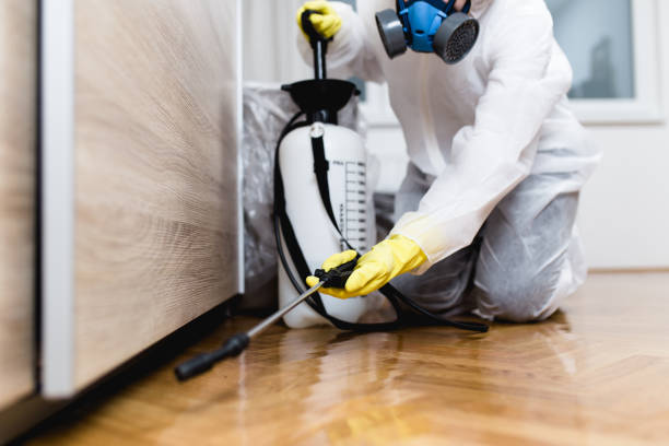 Best Cockroach Control Services  in Wrightsville, PA