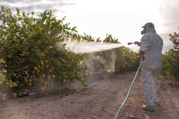 Best Pest Prevention Services  in Wrightsville, PA