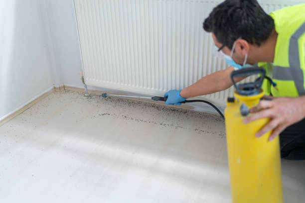 Best Mosquito Control Services  in Wrightsville, PA